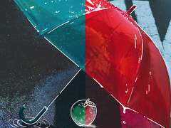 THE BINARY - 花に雨を、君に歌を(꽃에 비를, 네게 노래를)(vocal. mido & 아카마루) 가사 번역