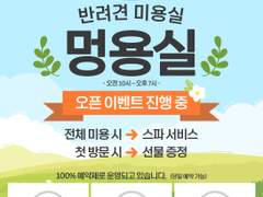 전단지 - 반려견 미용실