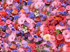 신사 숙녀 여러분