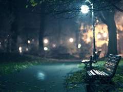 [대만준호] 겨울 밤.