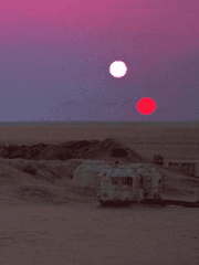 반쪽 피 캠프에 제다이의 등장이라