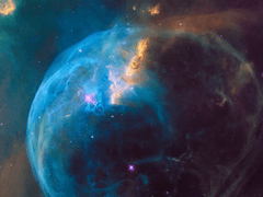 Happy Birth Day, my best boy!