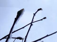 선배, 여기 좀 봐주실래요?