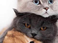 [짐른/삼각] 여자가 되었다 1