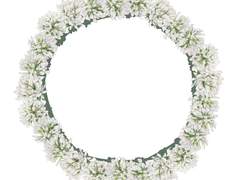 당신의 선택에 결코 후회는 없기를