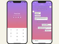 283. Gradation Window