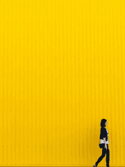 자캐 동맹 관련