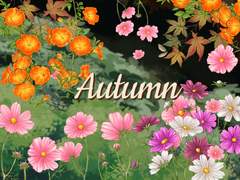 Autumn illust