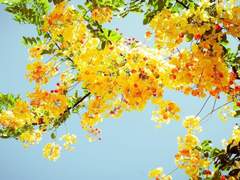 주제를 주세요!