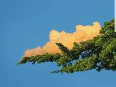 [ 호우 ] 마음을 전해드립니다