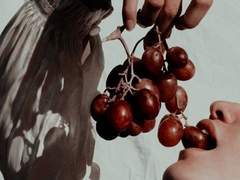 나를 또 다른 구원의 길로 인도하시니