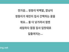 잼버지가 쮜냥이 키우는 이야기 1(백업)
