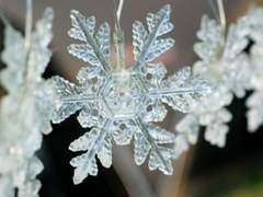 유진에게 보내는 세레타의 어느 엽서