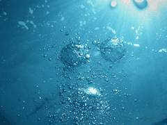 센티넬 후회물(1)