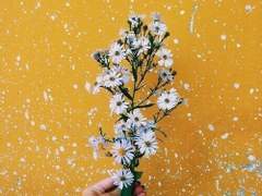 특수부 BETA팀 PROFILE