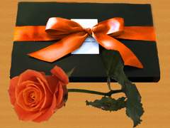 [츠나아야]잊지못할 발렌타인