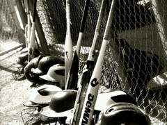 춘풍으로 단장한 내일의 하늘!