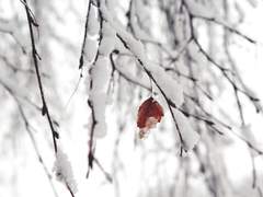 겨울의 끝자락에서