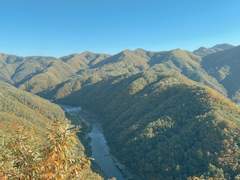 사랑을 구명할 수 있다면