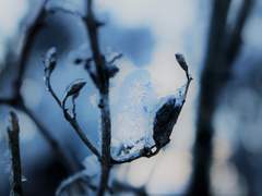 강 혁 / XY / 18 / 무용과