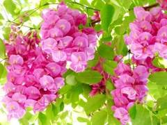 겨울의 한자락 끝에서