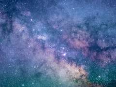 하 연주 / 23 / XX / 센티넬