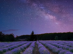 [스자루루] 한여름 밤의 키스