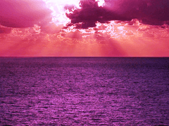 섬광의 아래 짙게 드리우고서는