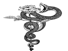 고정틀 - 피안화 피는 새벽엔 붉은 달이 떴다.