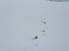 [광마회귀/자투리] 성불(成佛)