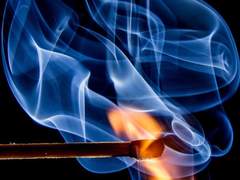 [쿱정] 군의 개 #1