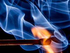 [쿱정] 군의 개 #2