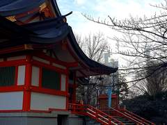 도쿄 여행 사진