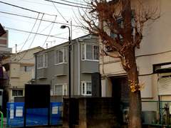 도쿄 여행 사진