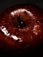 우리는 사랑할 때 누구나 최악이 된다