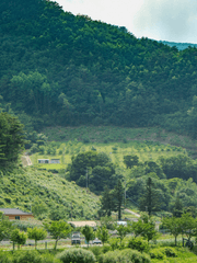 작은 산골 펜션이 반사 전용 펜션이 될 수 있나요?