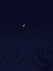 가루처럼 눈이 내린 날