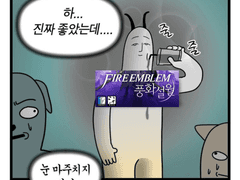 파이어엠블렘 풍화설월 후기