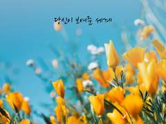 [큰세문대] 당신이 보여준 세계 1