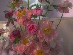 다복팔당多福八堂