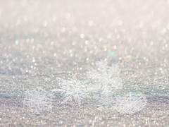 [대만준호/미츠코구] Sweet snowman