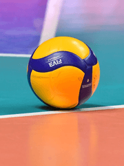 [하이큐] 세이죠의 고양이