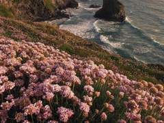 망각하지 말자, 2월 14일은 겨울이야.