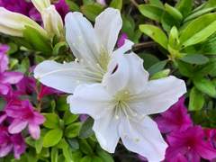 지금부터 저에 대한 우울글 써 보겠습니다. 보지 않으셔도 됩니다.