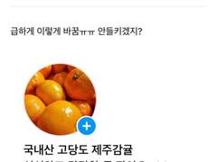 갑타 카피페 백업