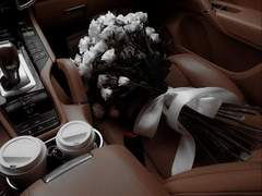 Be my Valentine, Darling.