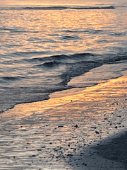 계약 연애 하이틴