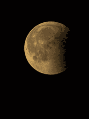 극야에 사는 사람들