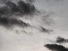 나약한 인간의 비밀