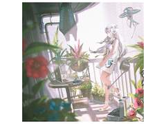 THE BINARY - Twilight Days(황혼의 나날들) (vocal. mido & 아카마루) (Music by Tomggg)